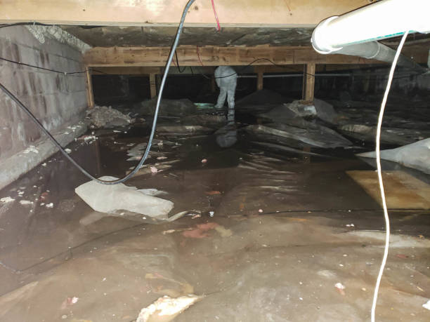 Trusted Water Damage Restoration in Paris, TN | Fast, Reliable, and Ready to Assist You